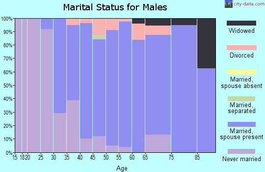 Zip code 08889 marital status for males