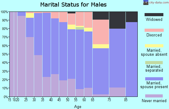 Zip code 08904 marital status for males