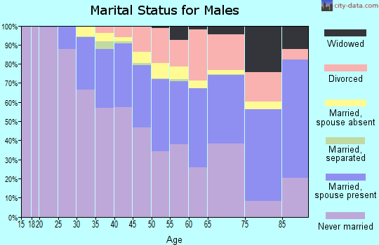 Zip code 10003 marital status for males