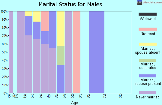 Zip code 10006 marital status for males