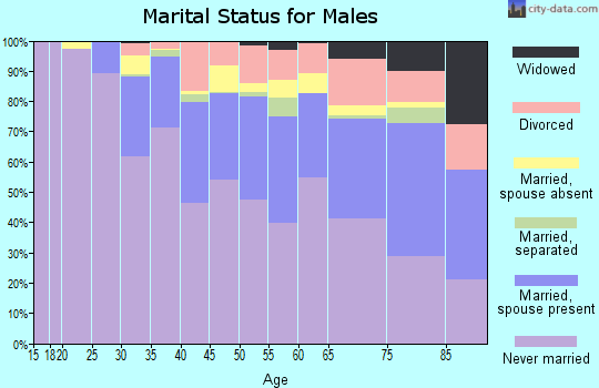 Zip code 10011 marital status for males