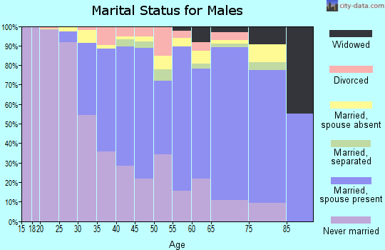 Zip code 10013 marital status