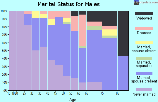 Zip code 10038 marital status for males