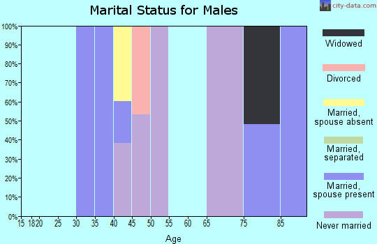 Zip code 10162 marital status for males