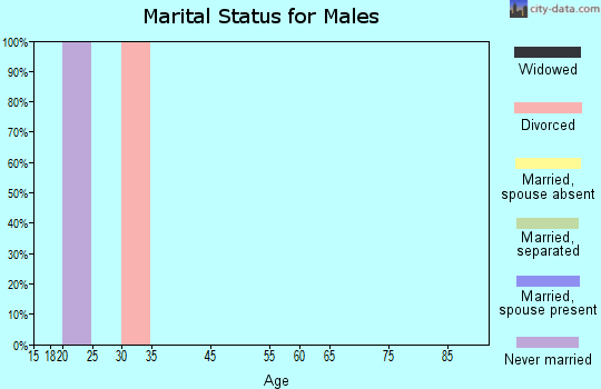 Zip code 10165 marital status for males