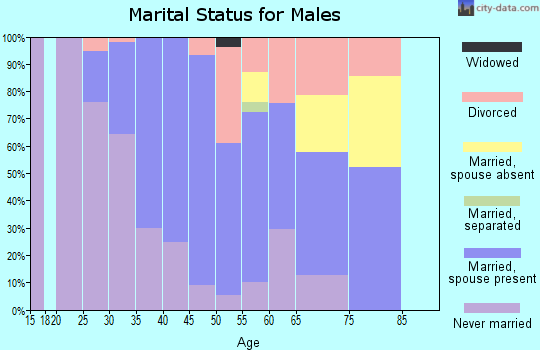 Zip code 10280 marital status for males