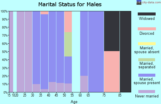 Zip code 10282 marital status for males