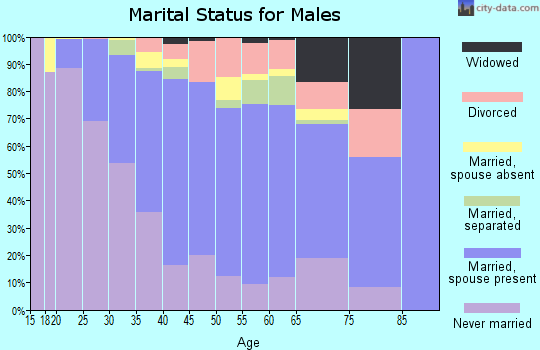 Zip code 10303 marital status for males