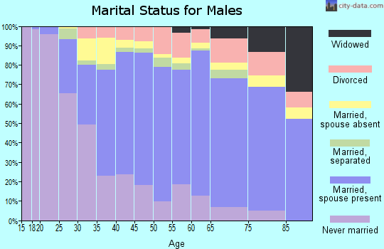 Zip code 10304 marital status for males