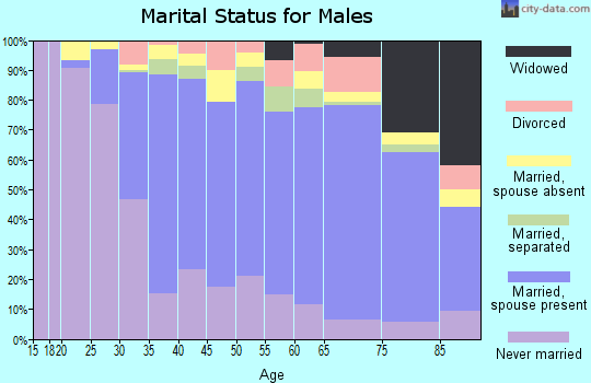 Zip code 10310 marital status for males
