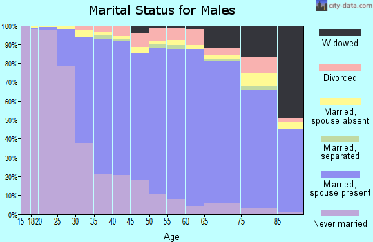 Zip code 10314 marital status for males