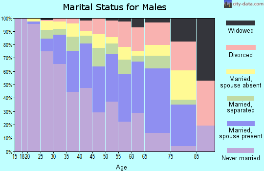 Zip code 10460 marital status for males