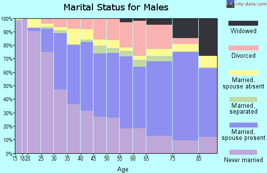 Zip code 10461 marital status for males