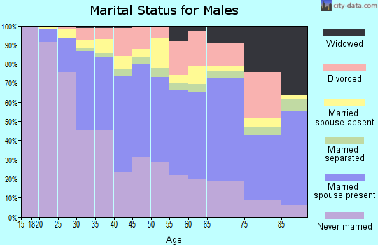 Zip code 10462 marital status for males