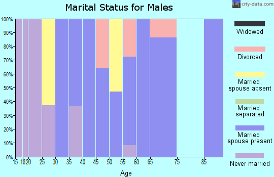 Zip code 10501 marital status for males