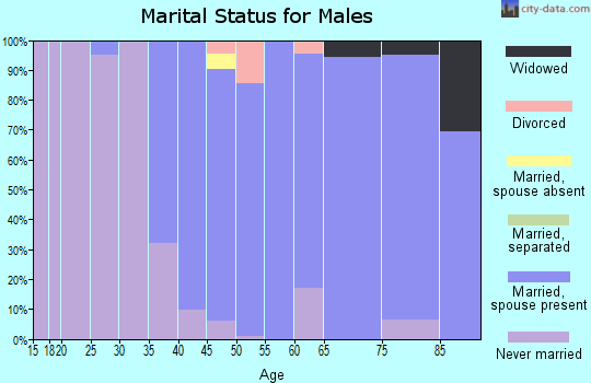 Zip code 10502 marital status for males