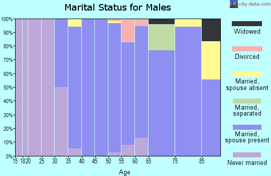 Zip code 10504 marital status for males
