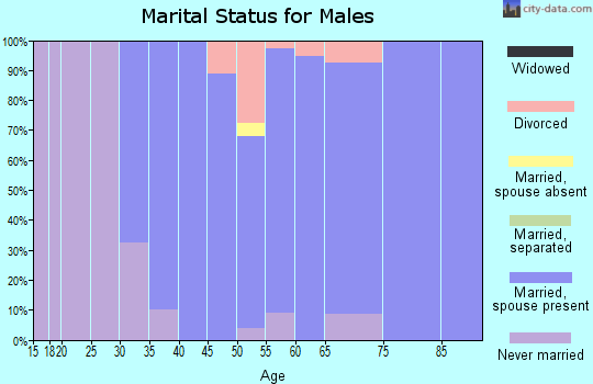 Zip code 10506 marital status for males