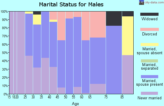 Zip code 10507 marital status for males