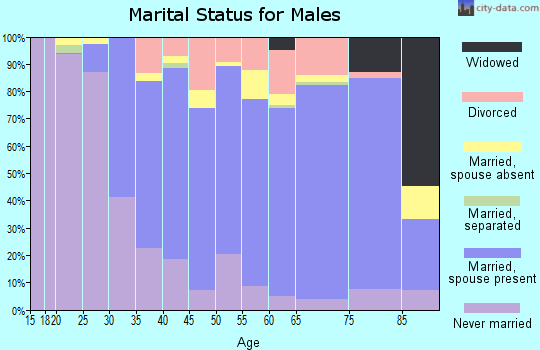Zip code 10509 marital status for males