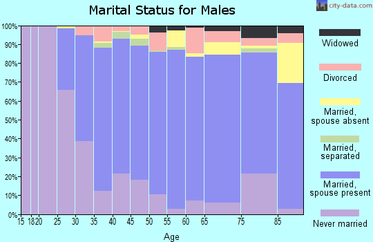 Zip code 10512 marital status for males