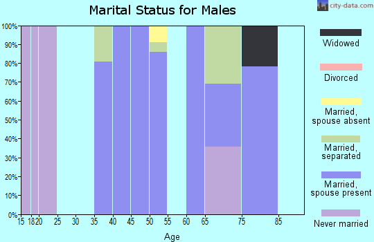Zip code 10518 marital status for males