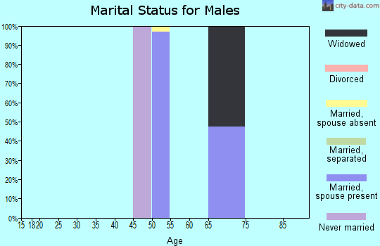 Zip code 10519 marital status for males