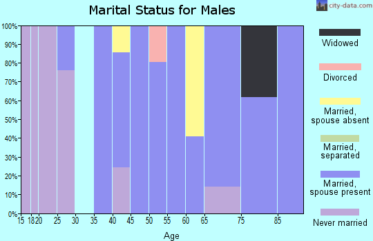 Zip code 10526 marital status for males