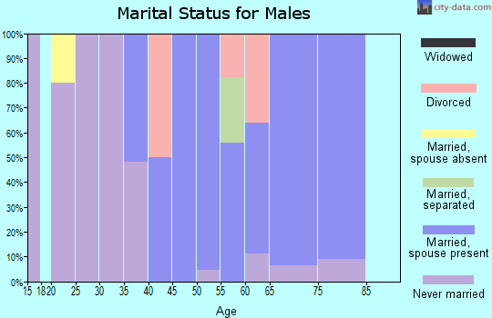 Zip code 10527 marital status for males