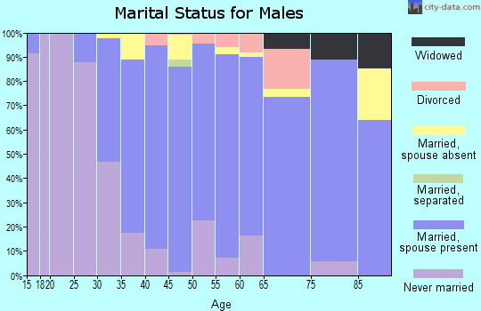 Zip code 10528 marital status for males
