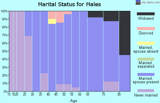 Zip code 10533 marital status for males
