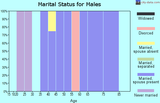 Zip code 10535 marital status for males