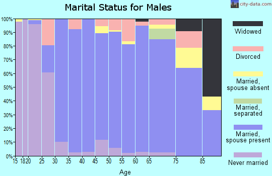 Zip code 10536 marital status for males