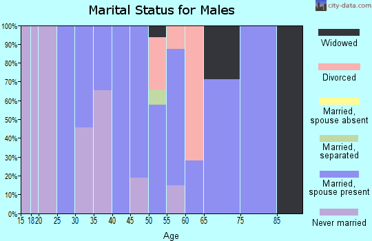 Zip code 10537 marital status for males