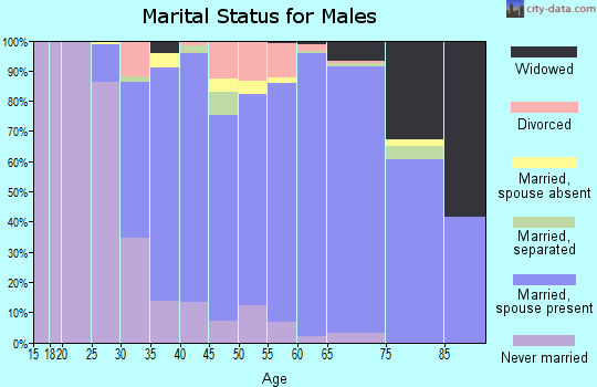Zip code 10541 marital status for males