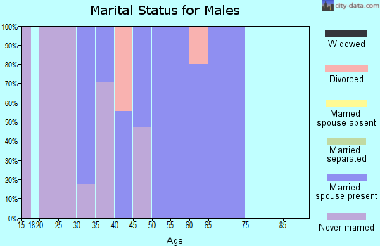 Zip code 10546 marital status for males