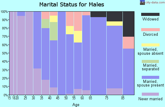 Zip code 10560 marital status for males