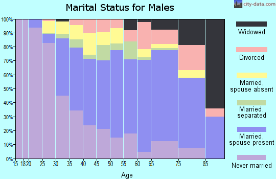 Zip code 10566 marital status for males