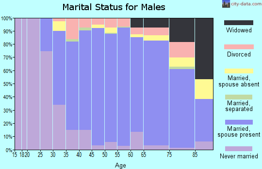 Zip code 10567 marital status for males