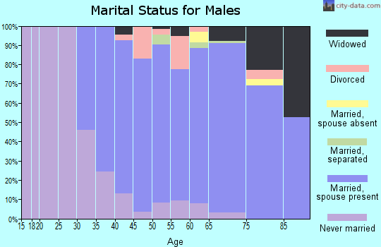 Zip code 10570 marital status for males