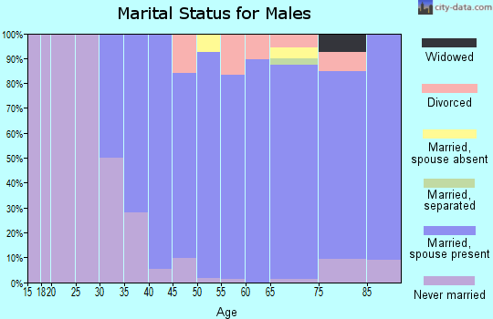 Zip code 10576 marital status for males