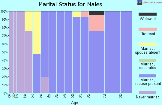 Zip code 10577 marital status for males