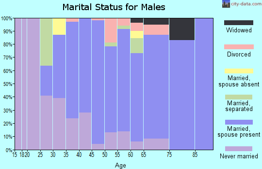 Zip code 10579 marital status for males
