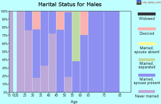 Zip code 10588 marital status for males