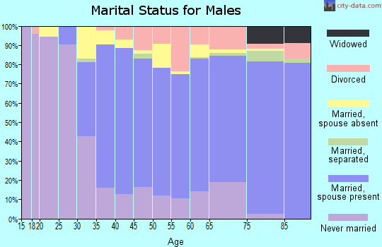 Zip code 10591 marital status for males