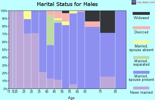 Zip code 10594 marital status for males