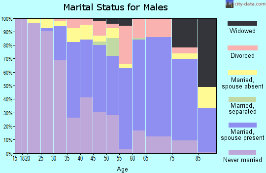 Zip code 10595 marital status for males