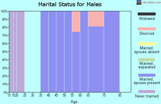 Zip code 10597 marital status for males