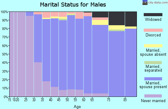 Zip code 10598 marital status for males