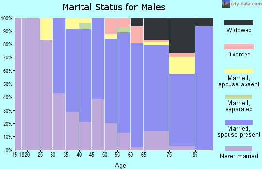 Zip code 10607 marital status for males